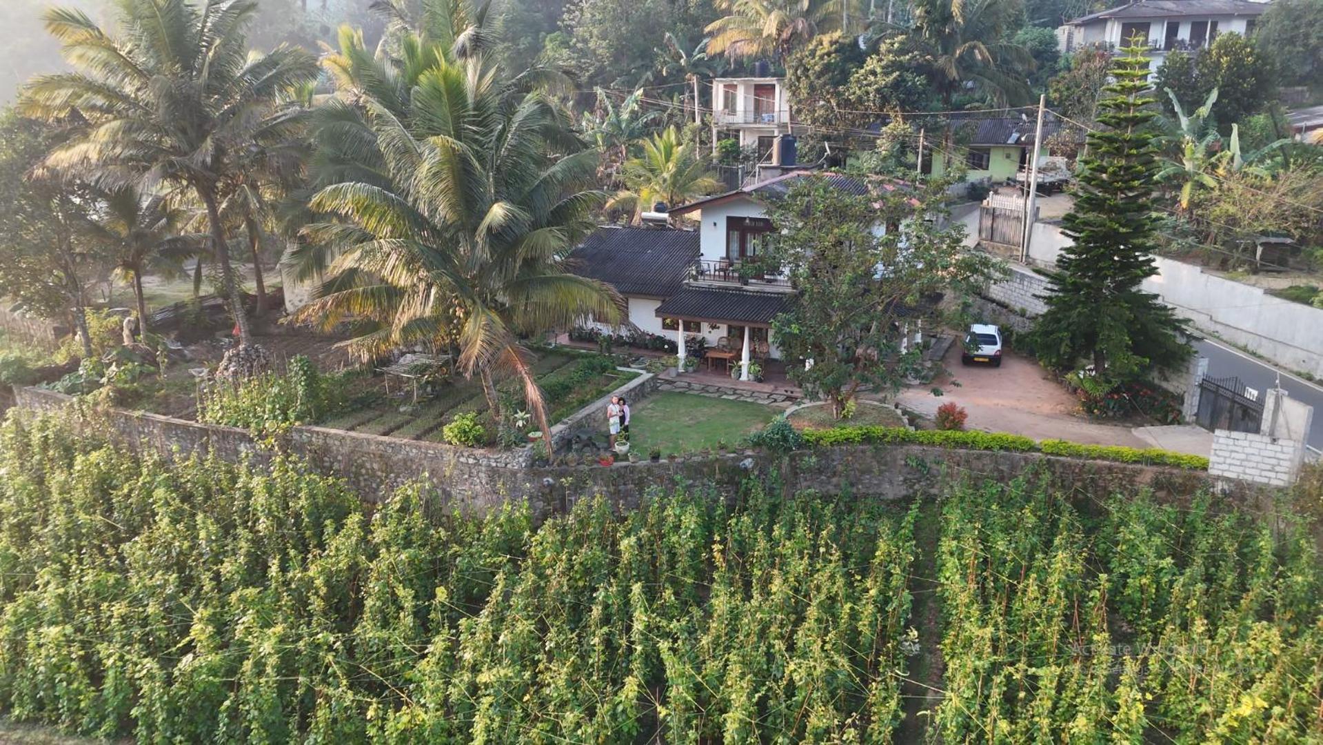 Ella Nature Valley Homestay Exterior foto